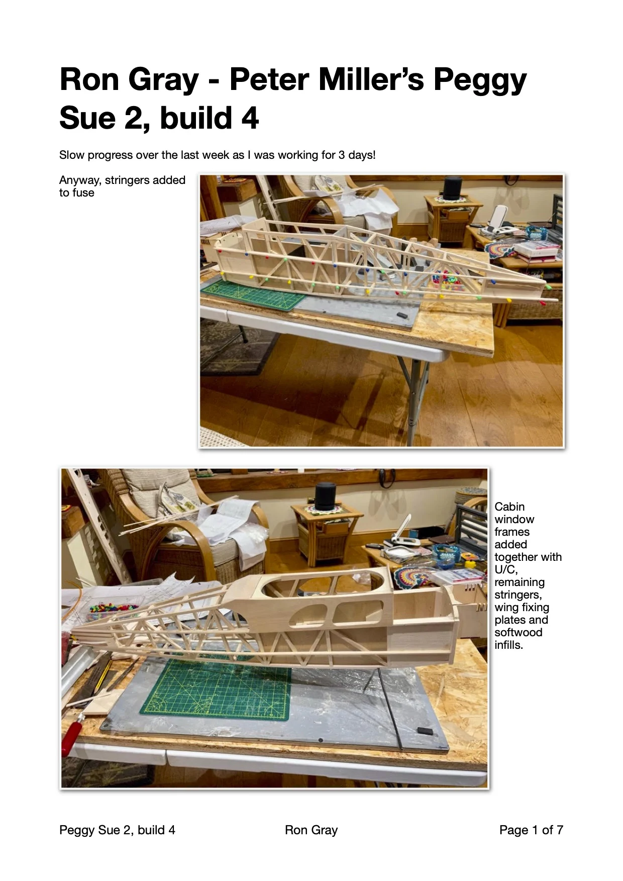 Ron Gray - Peter Miller's Peggy Sue 2, build report 4