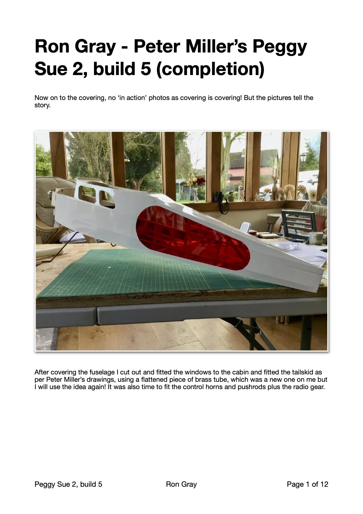Ron Gray - Peter Miller's Peggy Sue 2, build report 5