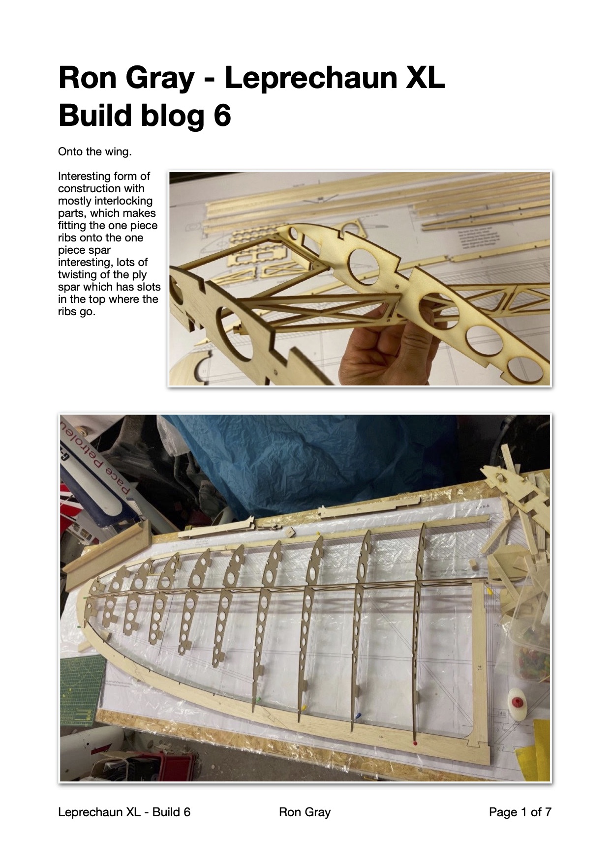 Ron Gray - Leprechaun XL - Build blog 6