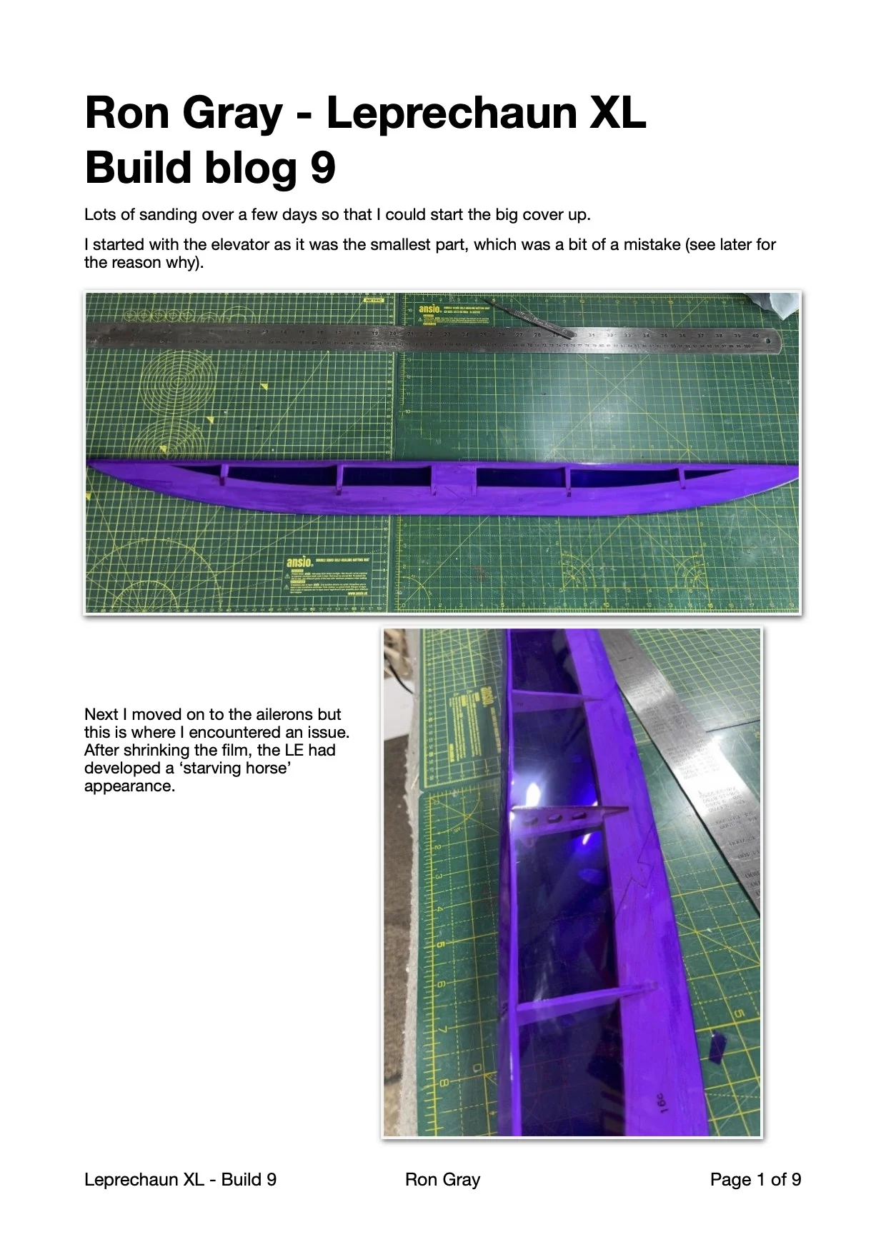 Ron Gray leprechaun xl build blog 9